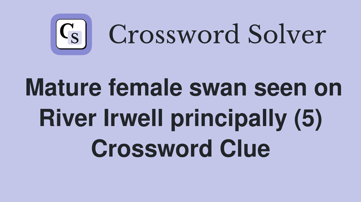 Mature female swan seen on River Irwell principally (5) Crossword Clue