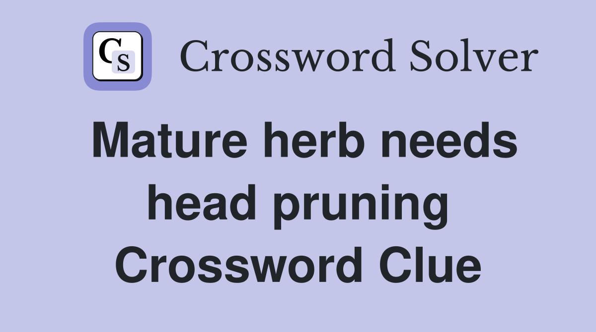 Mature herb needs head pruning Crossword Clue