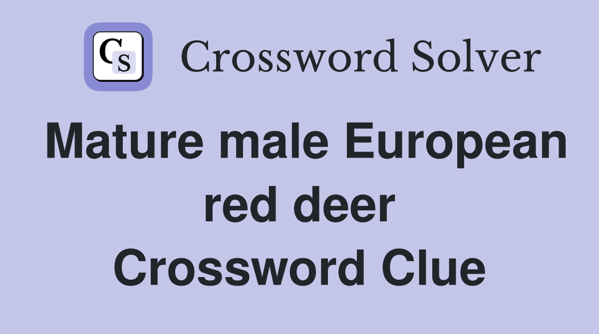 Mature male European red deer Crossword Clue