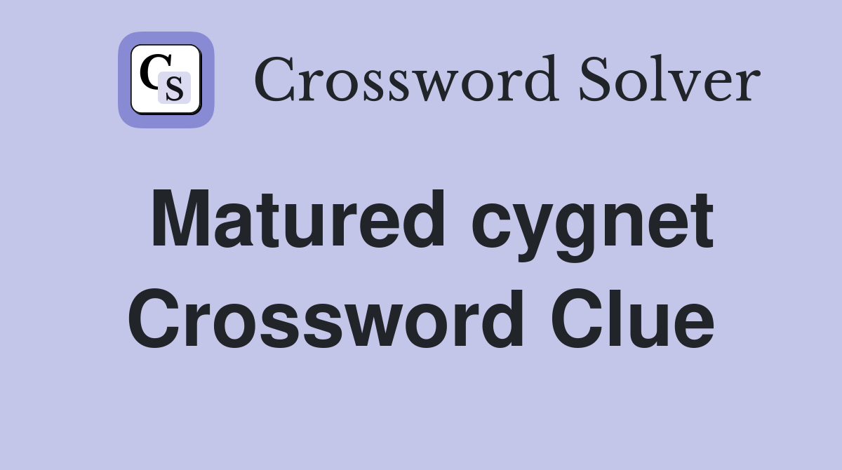 Matured cygnet Crossword Clue