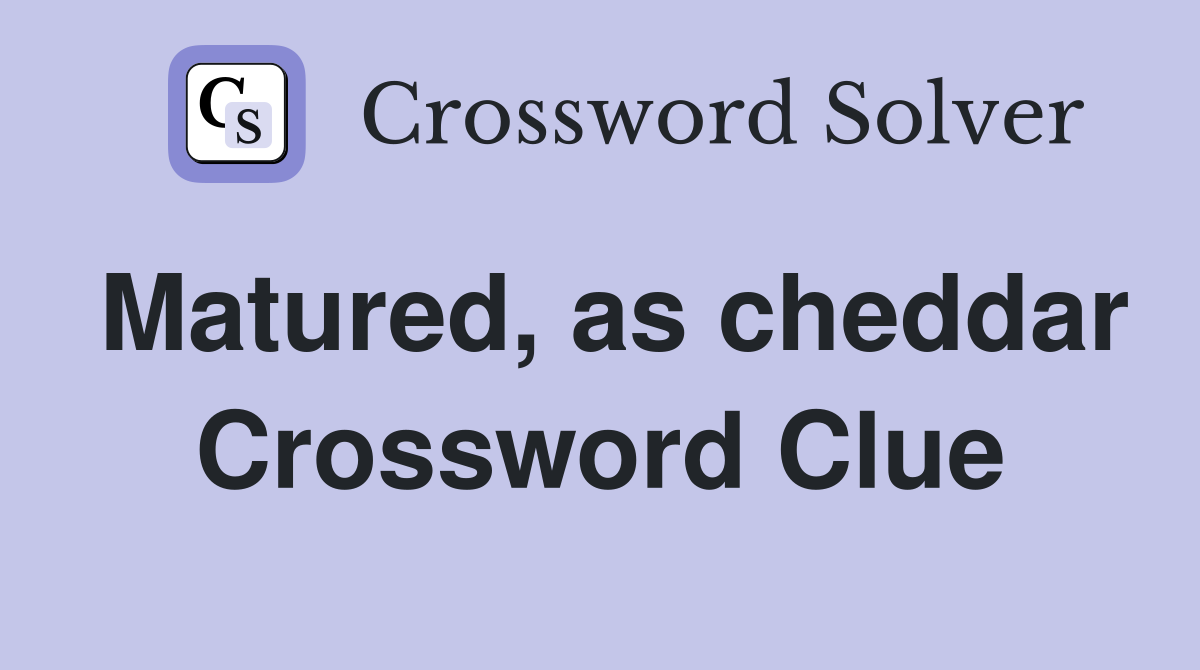 Matured, as cheddar Crossword Clue