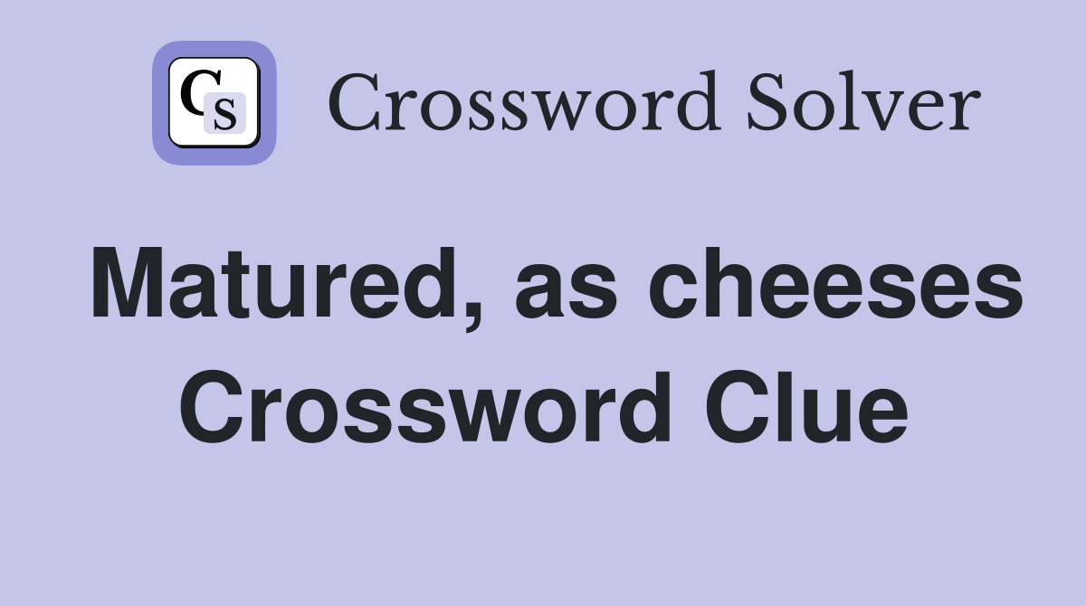 Matured, as cheeses Crossword Clue