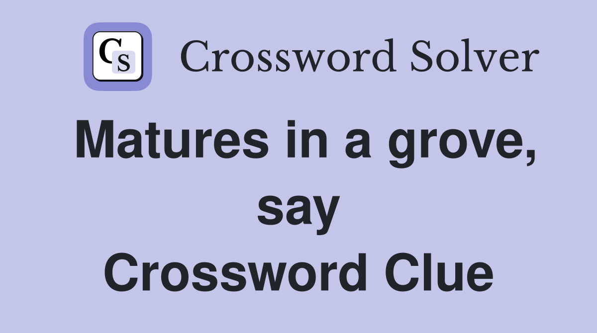 Matures in a grove, say Crossword Clue