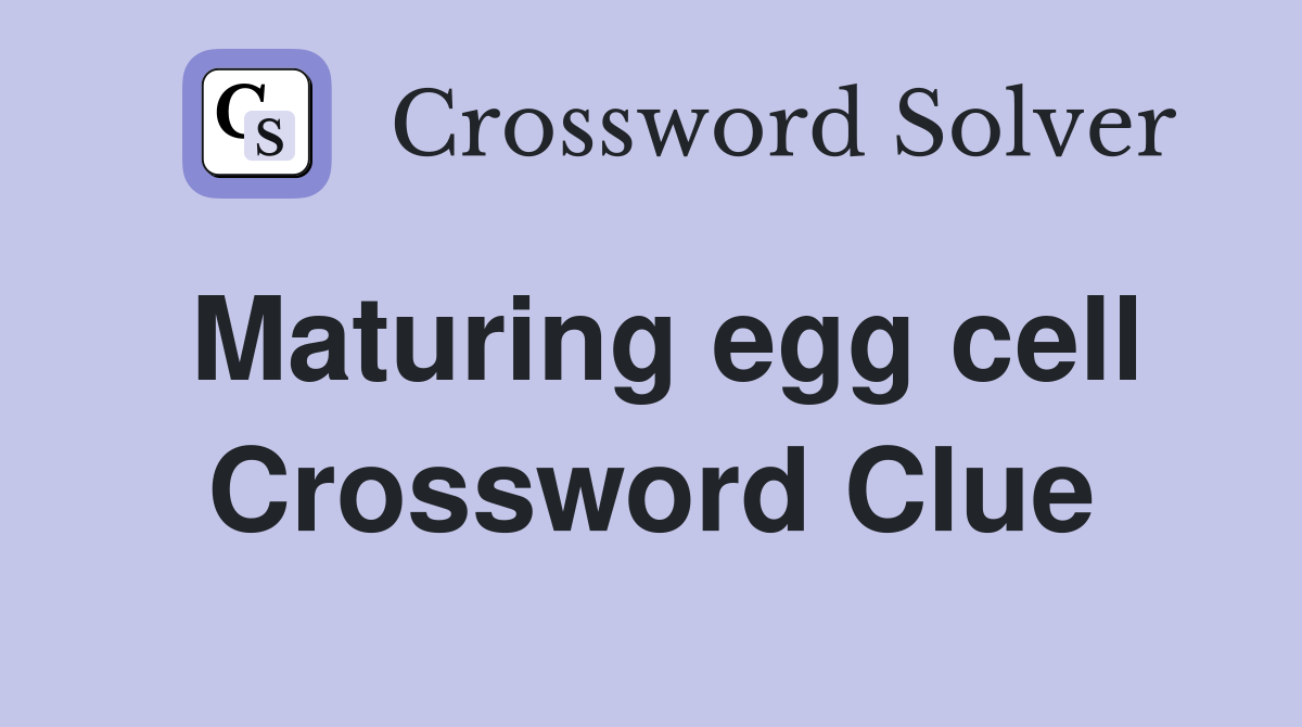 Maturing egg cell Crossword Clue