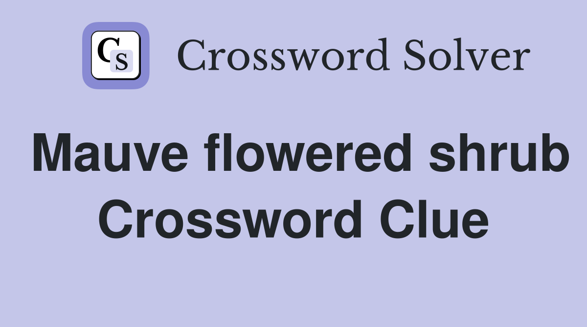 Mauve flowered shrub Crossword Clue