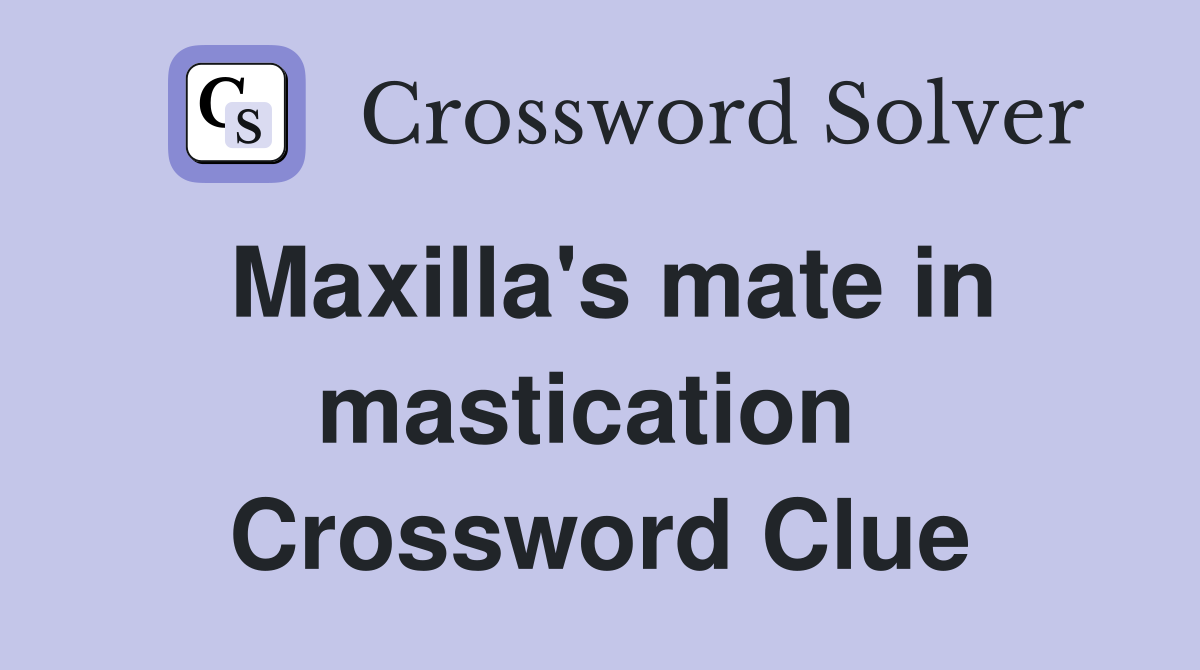 Maxilla's mate in mastication  Crossword Clue