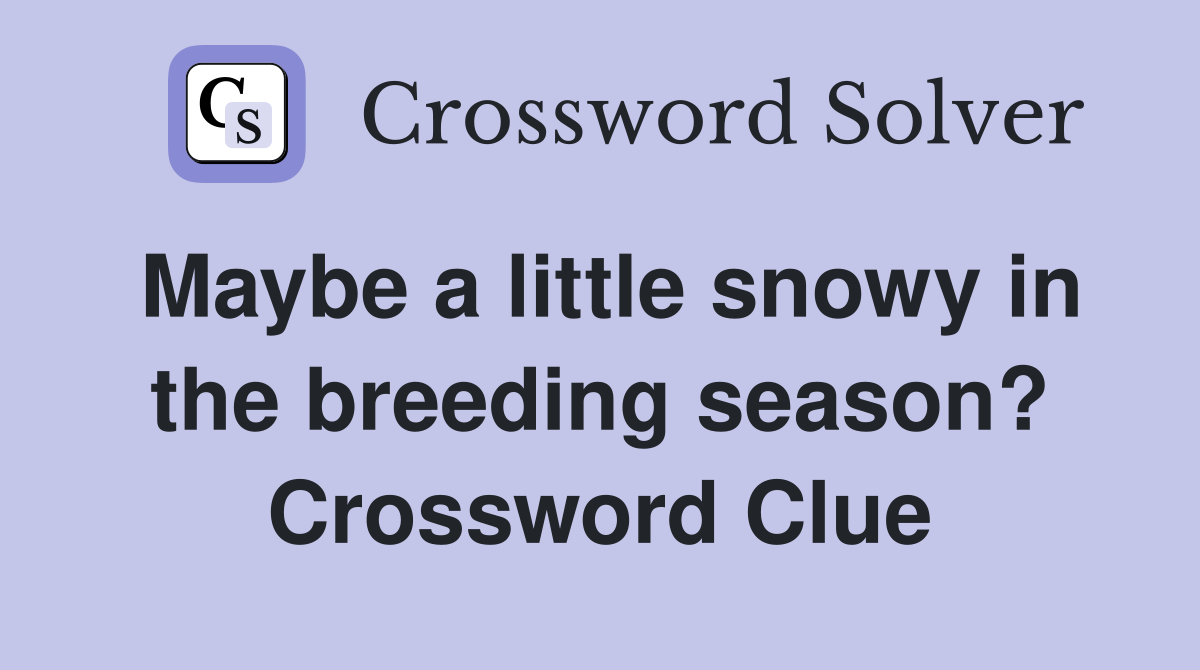 Maybe a little snowy in the breeding season? Crossword Clue