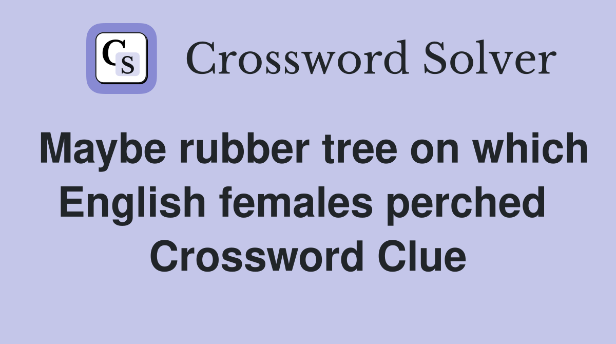 Maybe rubber tree on which English females perched  Crossword Clue
