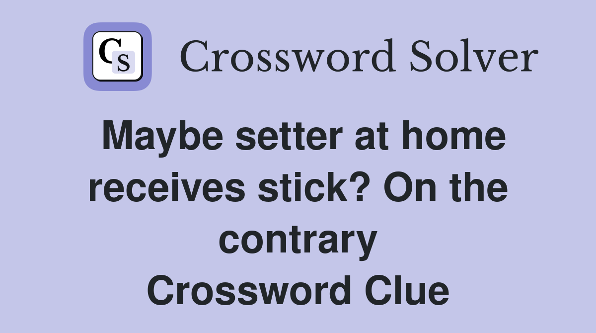 Maybe setter at home receives stick? On the contrary Crossword Clue