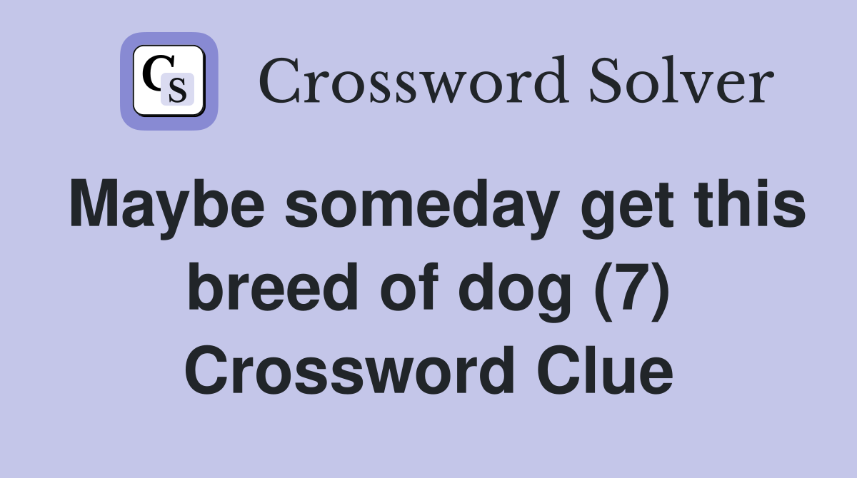 Maybe someday get this breed of dog (7) Crossword Clue
