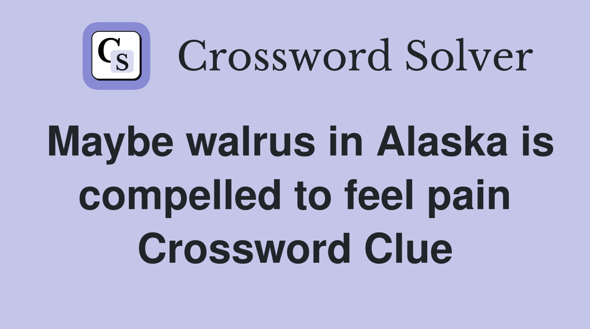 Maybe walrus in Alaska is compelled to feel pain Crossword Clue
