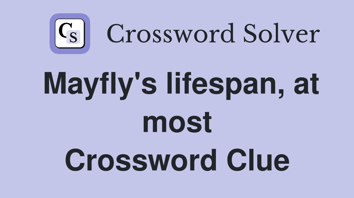 Mayfly's lifespan, at most Crossword Clue