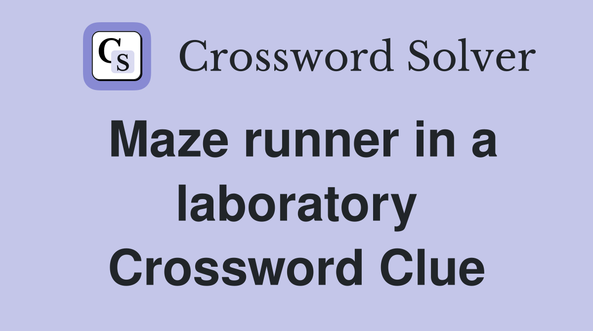 Maze runner in a laboratory Crossword Clue