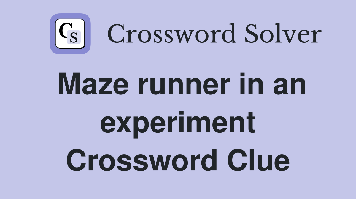 Maze runner in an experiment Crossword Clue