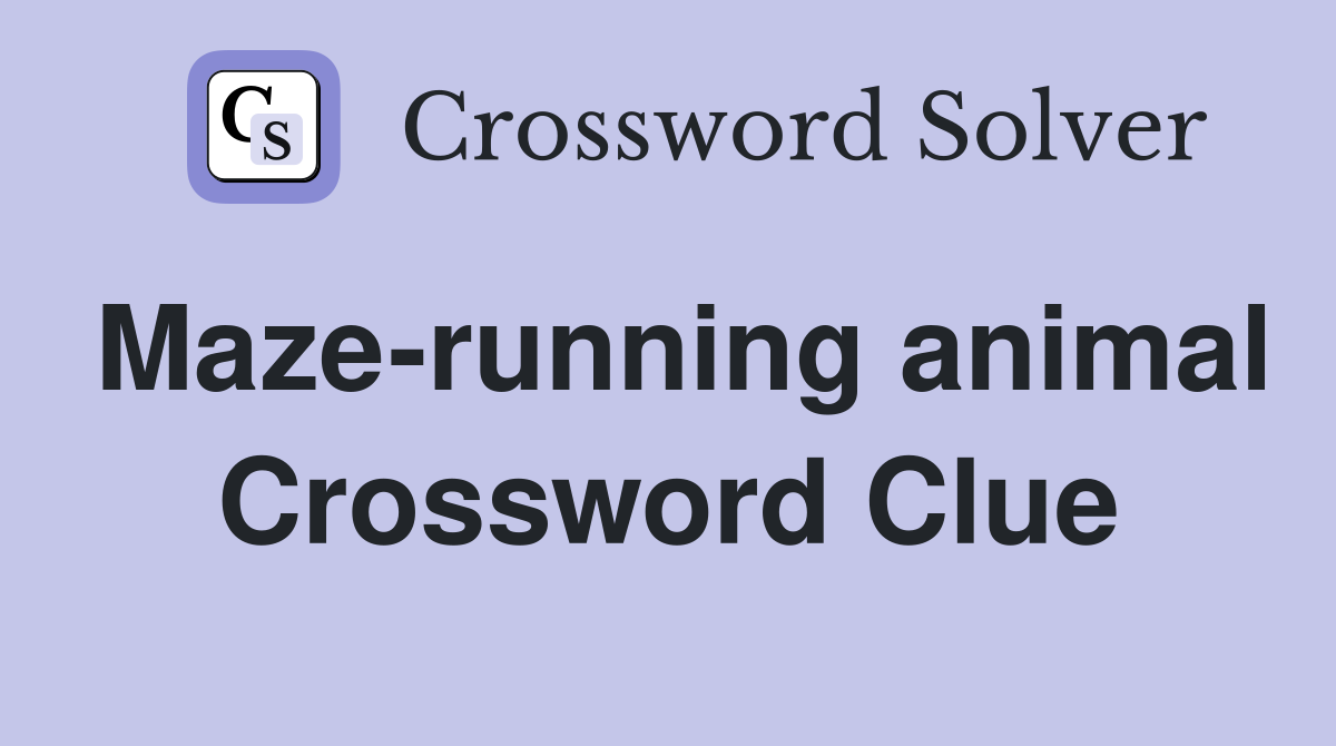 Maze-running animal Crossword Clue