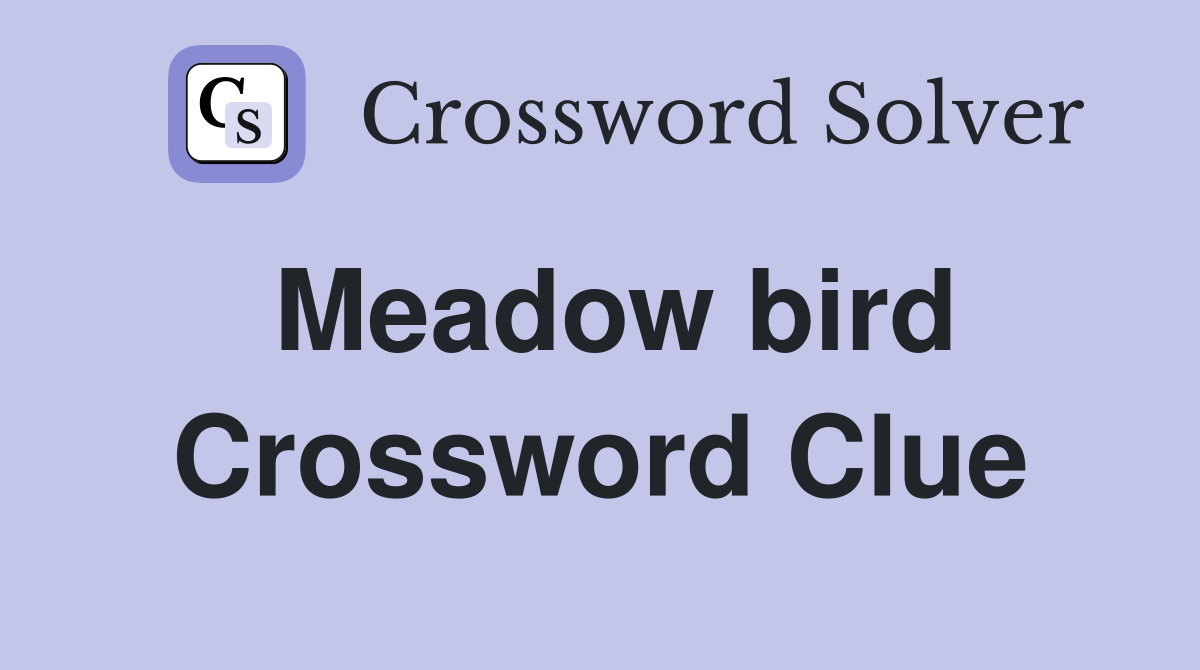 Meadow bird Crossword Clue