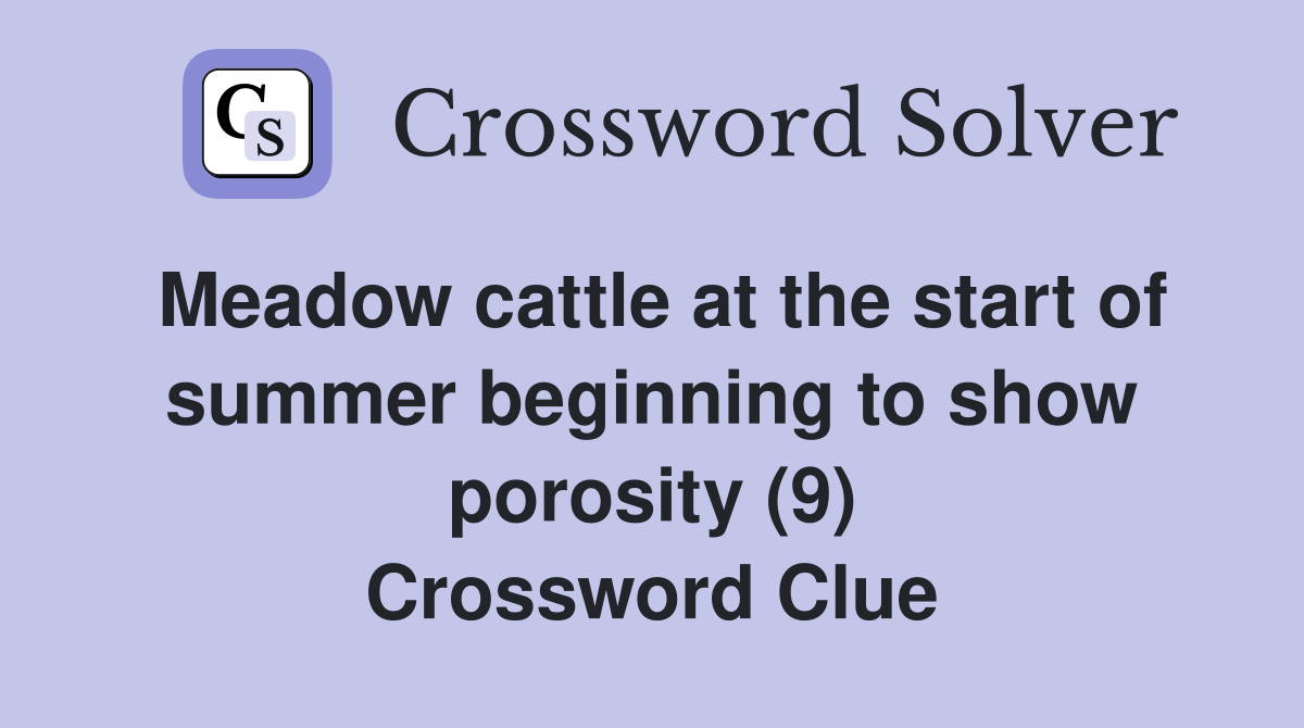 Meadow cattle at the start of summer beginning to show porosity (9) Crossword Clue