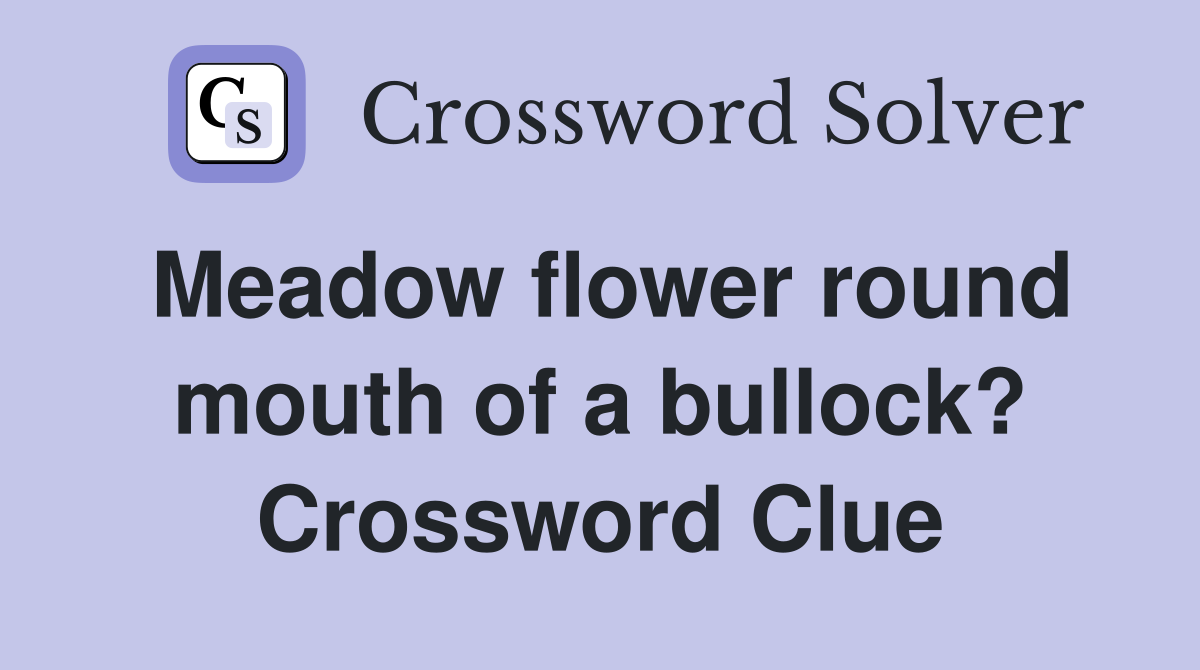 Meadow flower round mouth of a bullock? Crossword Clue