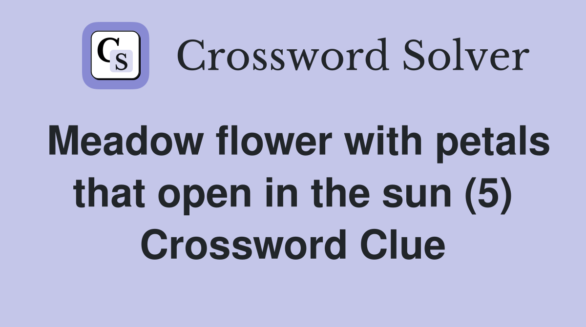 Meadow flower with petals that open in the sun (5) Crossword Clue