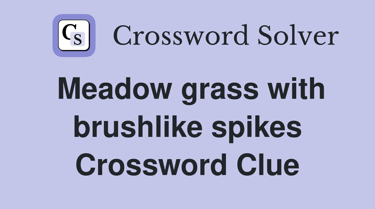 Meadow grass with brushlike spikes Crossword Clue