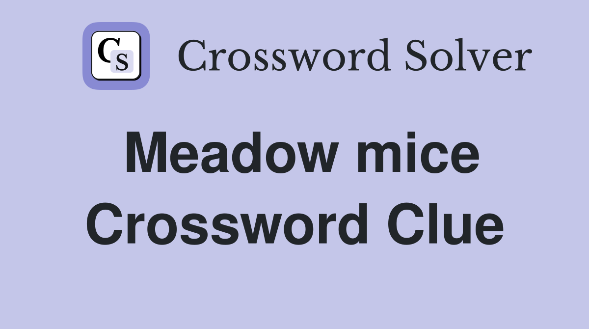 Meadow mice Crossword Clue