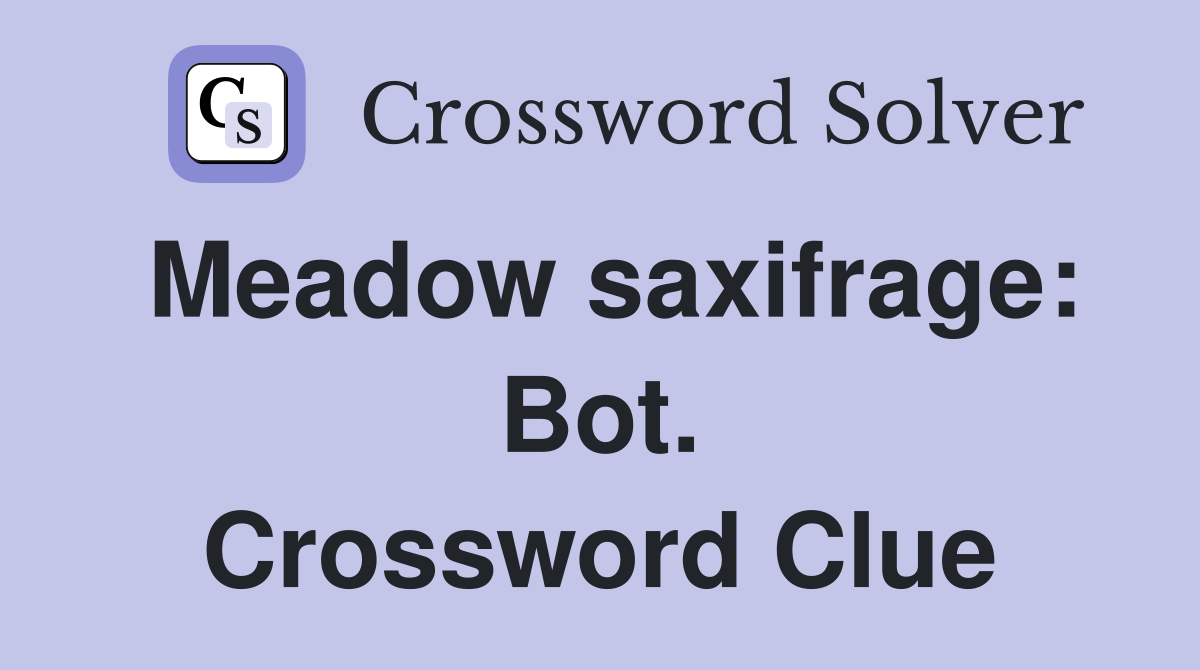 Meadow saxifrage: Bot. Crossword Clue