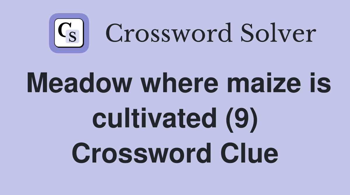 Meadow where maize is cultivated (9) Crossword Clue