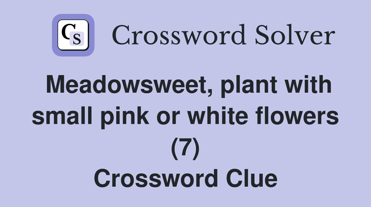 Meadowsweet, plant with small pink or white flowers (7) Crossword Clue