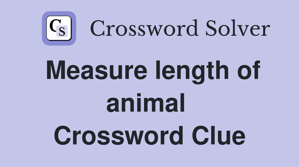 Measure length of animal  Crossword Clue