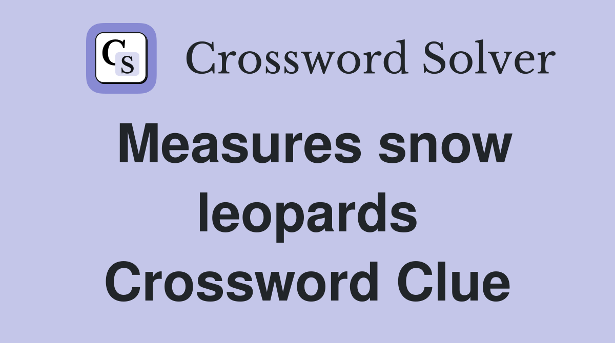 Measures snow leopards Crossword Clue