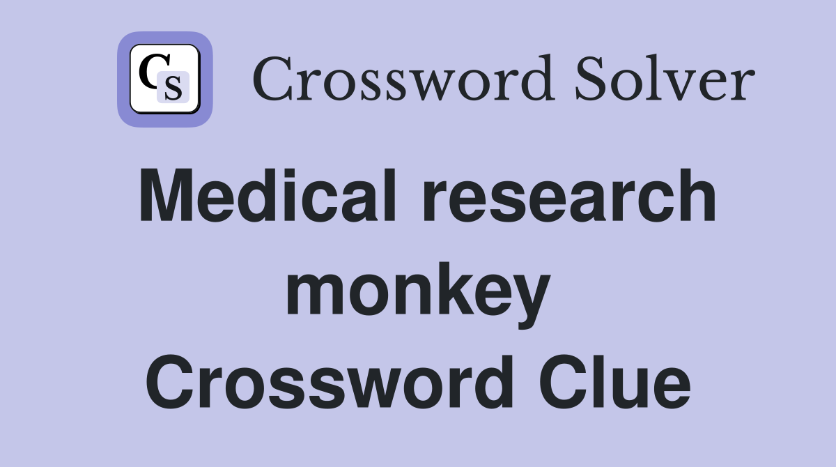 Medical research monkey Crossword Clue