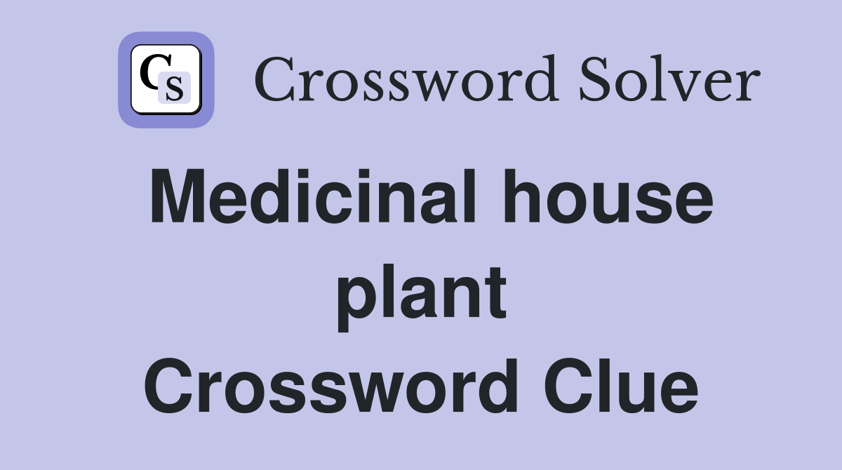 Medicinal house plant Crossword Clue