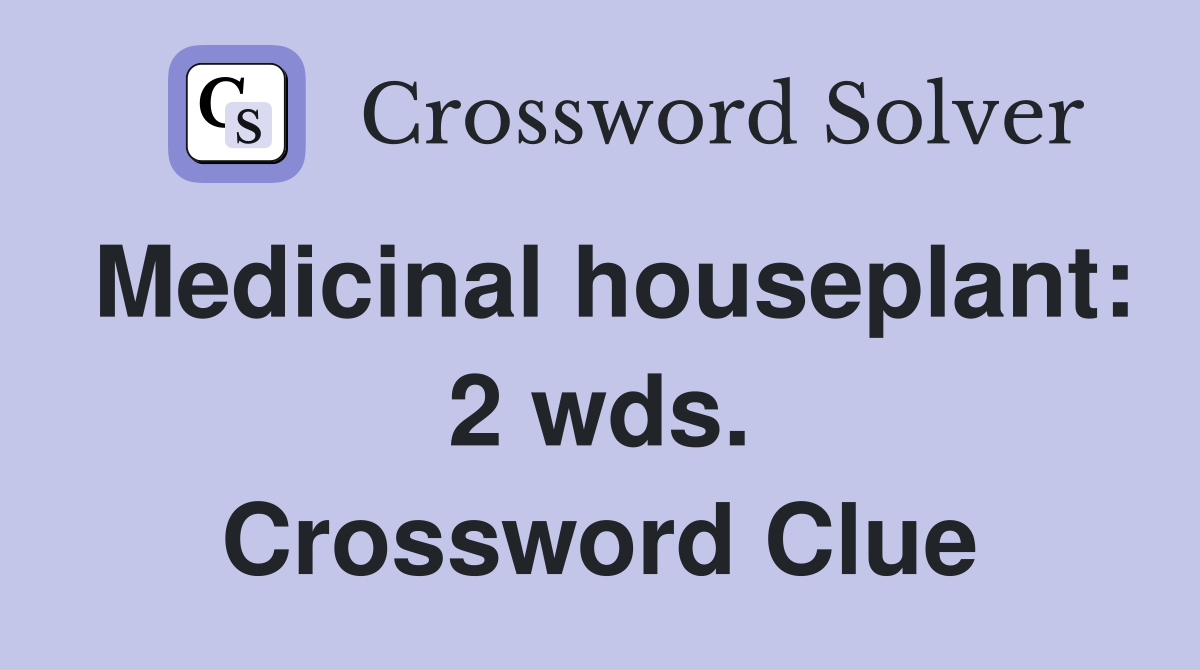 Medicinal houseplant: 2 wds. Crossword Clue
