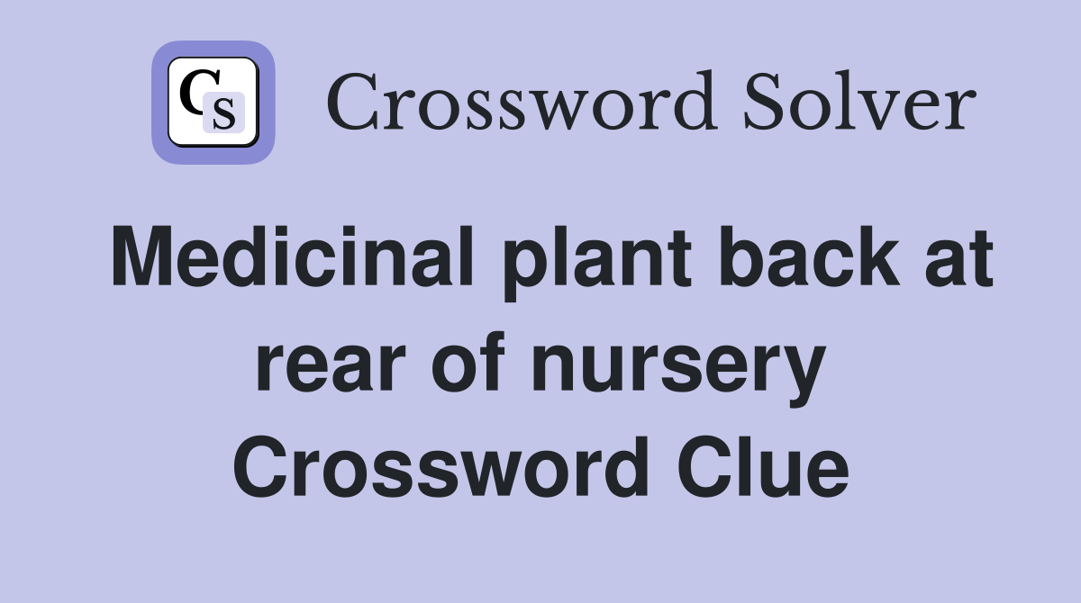 Medicinal plant back at rear of nursery Crossword Clue