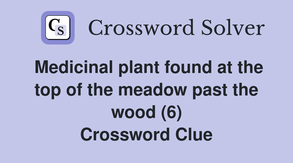 Medicinal plant found at the top of the meadow past the wood (6) Crossword Clue
