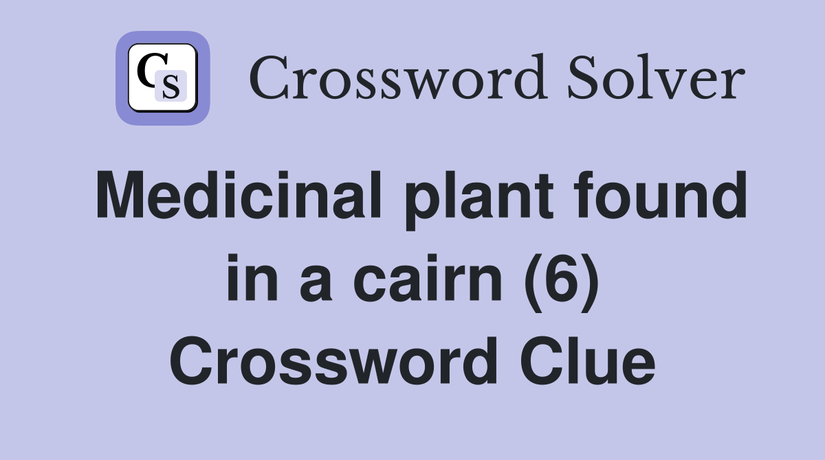 Medicinal plant found in a cairn (6) Crossword Clue