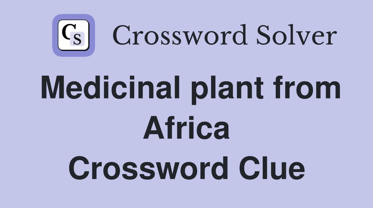 Medicinal plant from Africa Crossword Clue