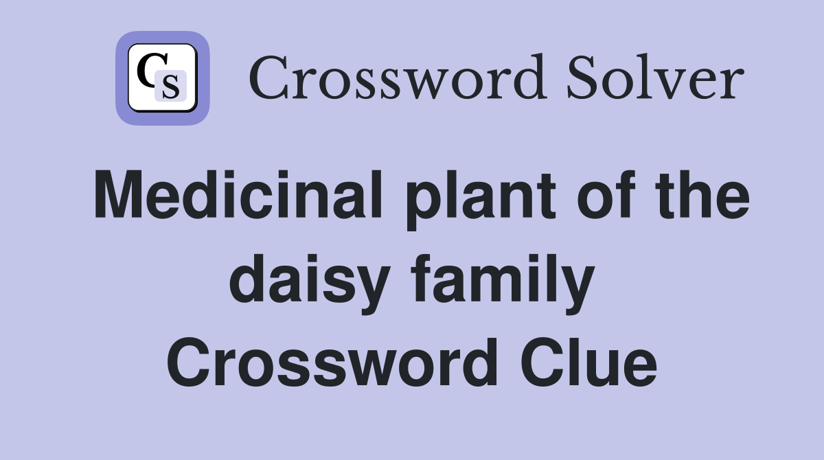 Medicinal plant of the daisy family Crossword Clue