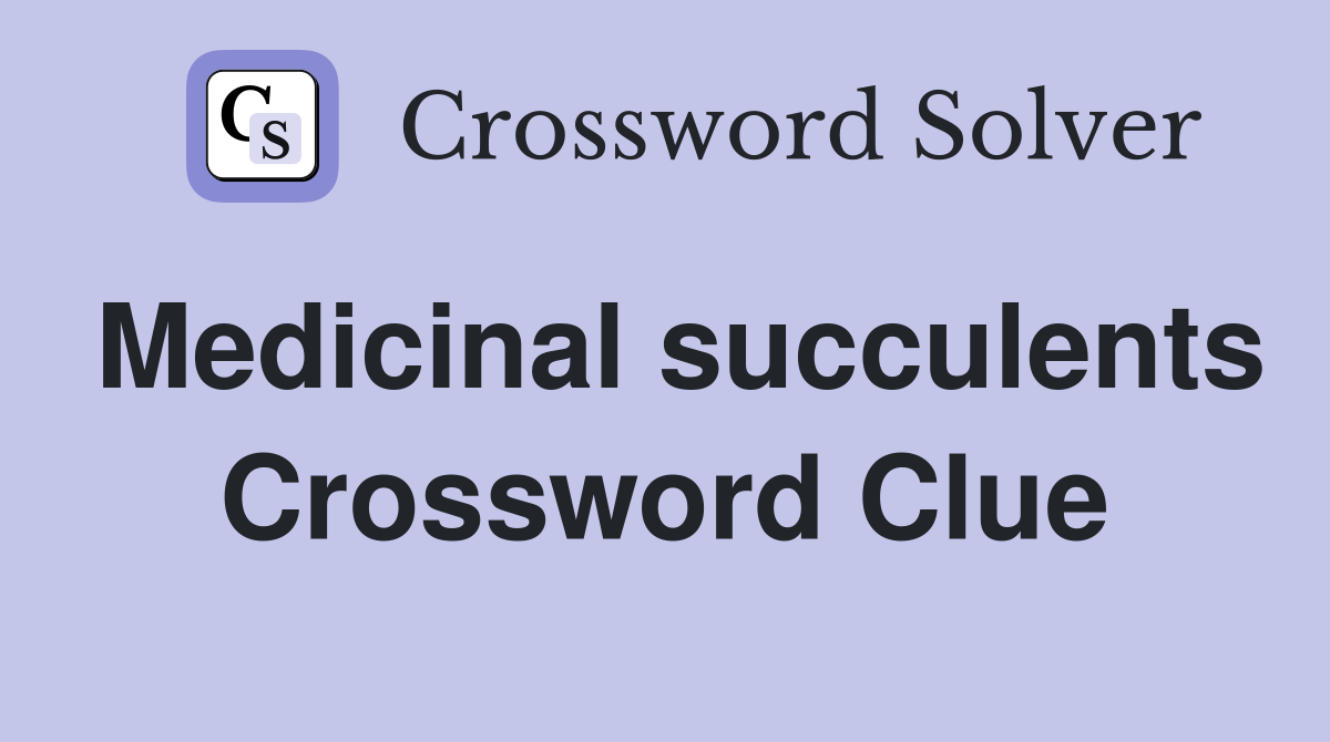 Medicinal succulents Crossword Clue
