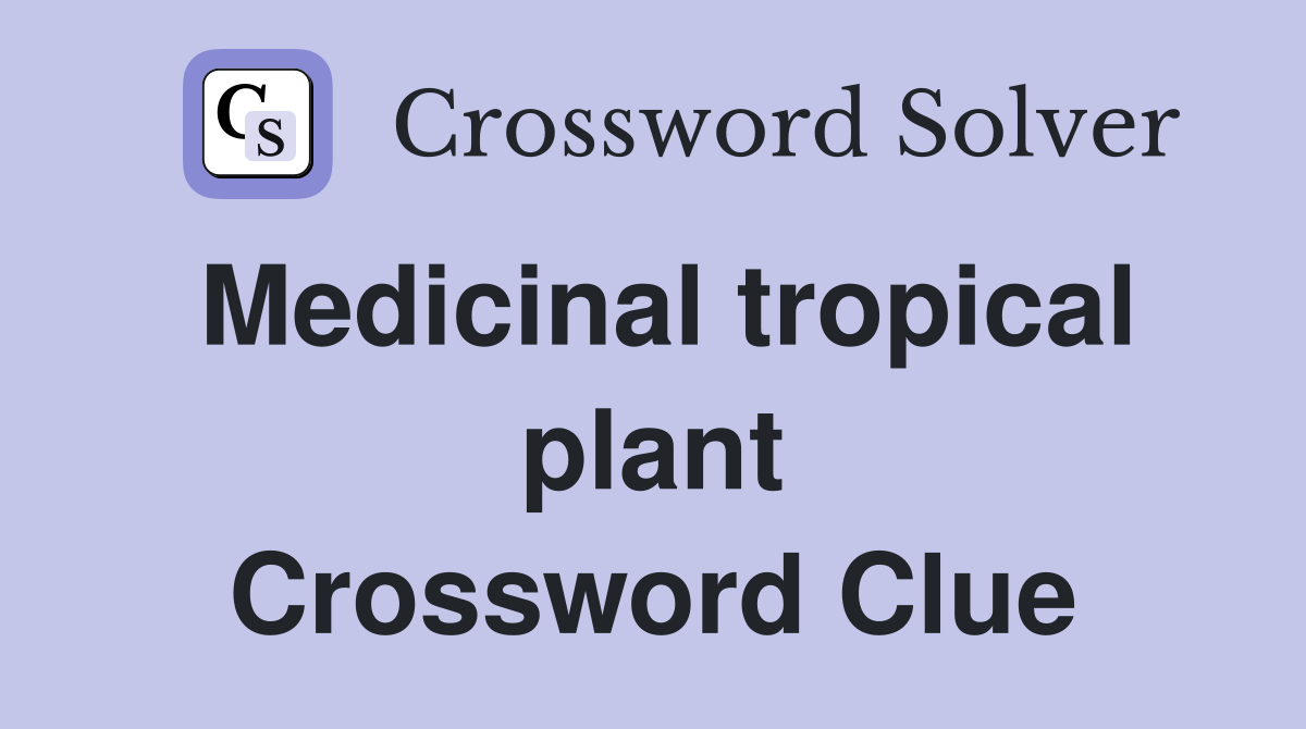 Medicinal tropical plant Crossword Clue