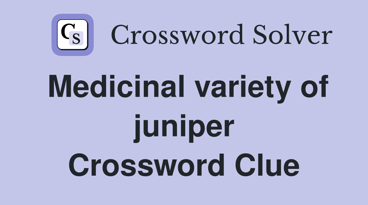 Medicinal variety of juniper Crossword Clue