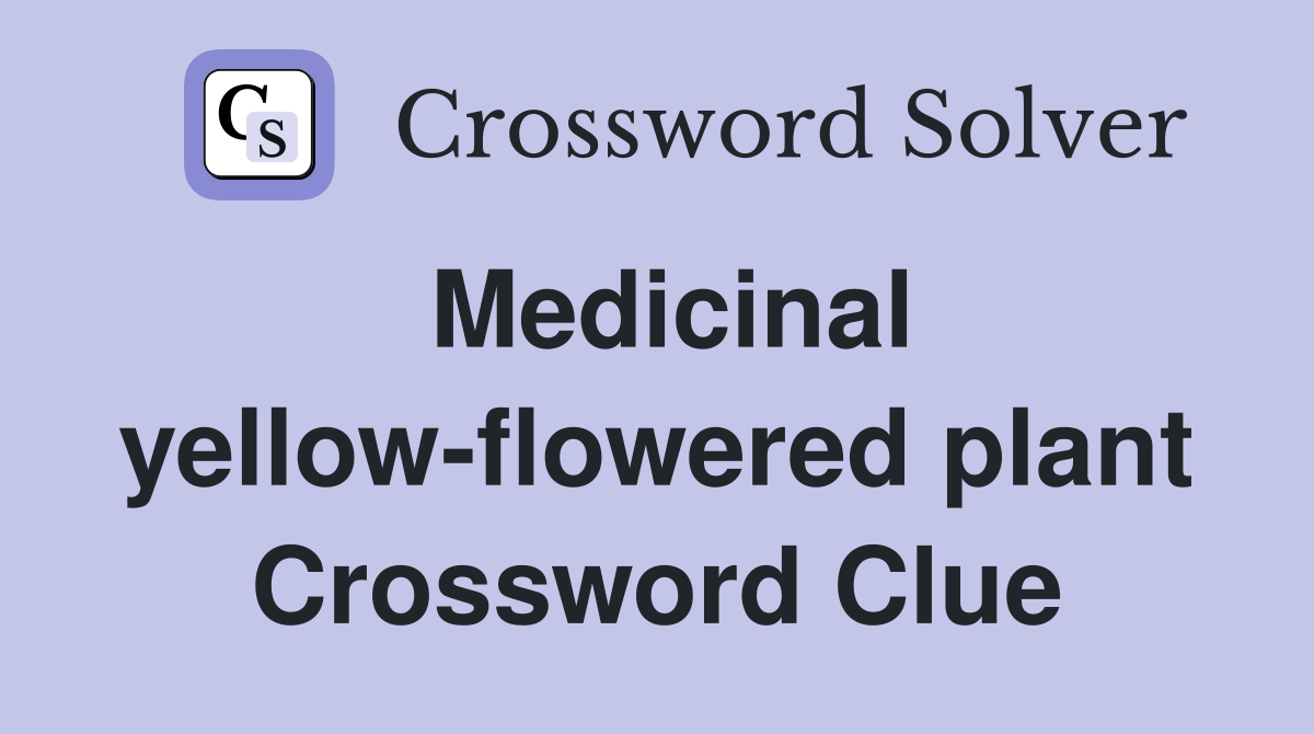 Medicinal yellow-flowered plant Crossword Clue