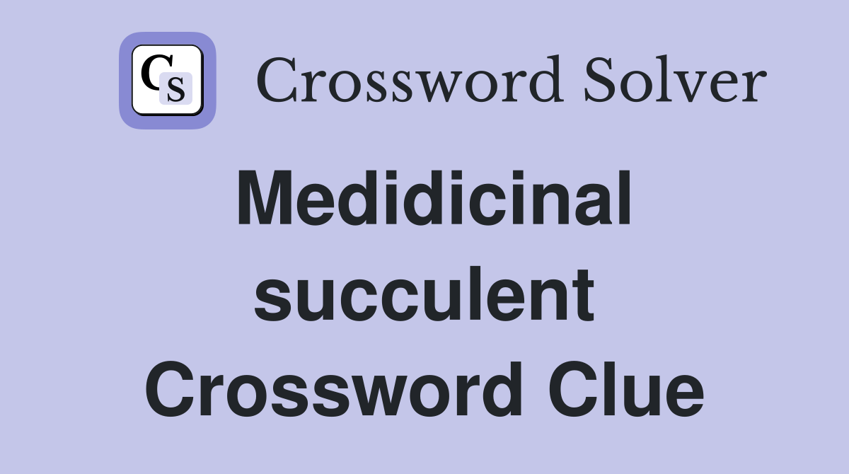 Medidicinal succulent Crossword Clue