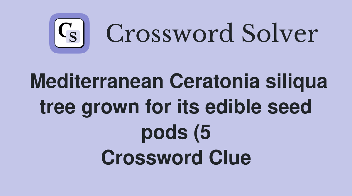 Mediterranean Ceratonia siliqua tree grown for its edible seed pods (5 Mediterranean Ceratonia siliqua tree grown for its edible seed pods (5
