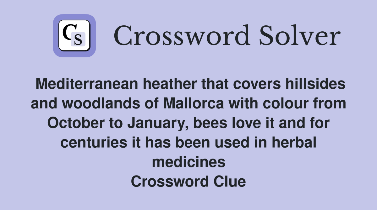 Mediterranean heather that covers hillsides and woodlands of Mallorca with colour from October to January, bees love it and for centuries it has been used in herbal medicines Crossword Clue