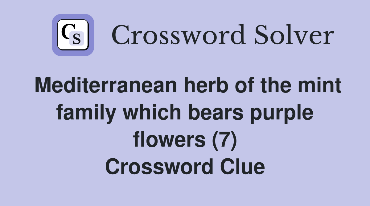 Mediterranean herb of the mint family which bears purple flowers (7) Crossword Clue