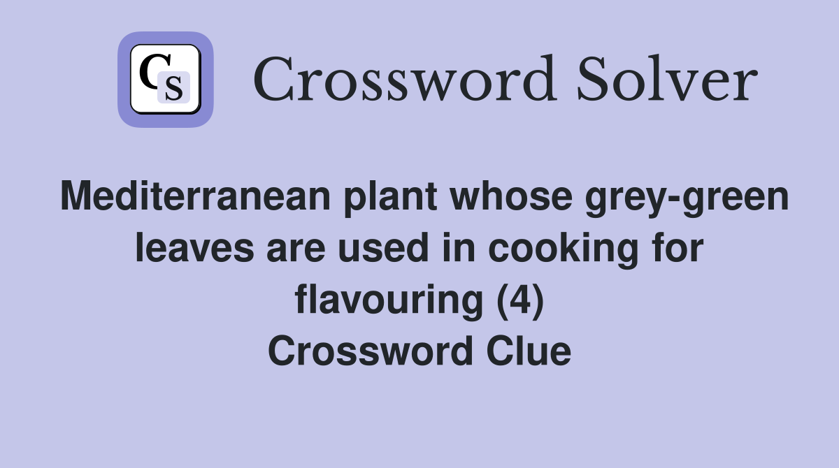 Mediterranean plant whose grey-green leaves are used in cooking for flavouring (4) Crossword Clue