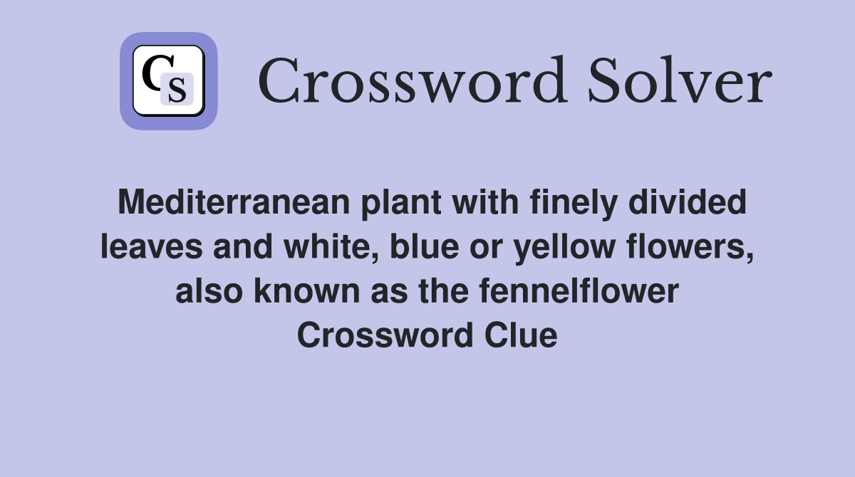 Mediterranean plant with finely divided leaves and white, blue or yellow flowers, also known as the fennelflower Crossword Clue