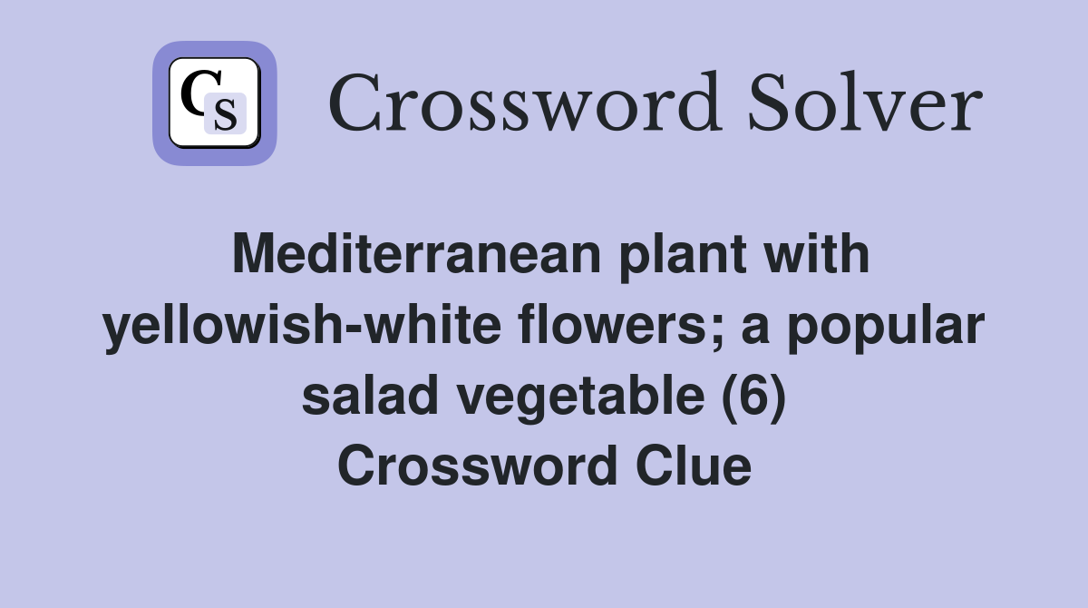 Mediterranean plant with yellowish-white flowers; a popular salad vegetable (6) Crossword Clue