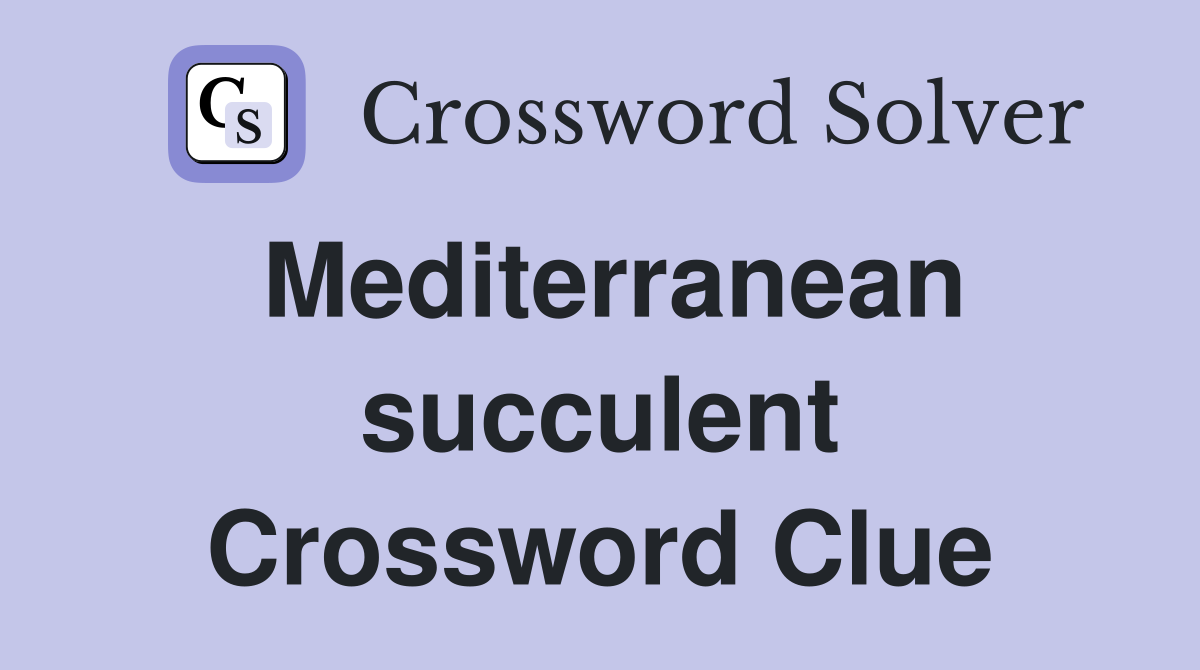 Mediterranean succulent Crossword Clue